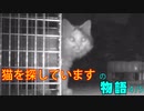 【シリーズ：猫を探していますの物語り】4.橋を渡った猫