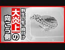 【大炎上】爬虫類YouTuberが炎上した件を見ていて思うこと【批判の嵐】