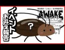 【AWAKE】イベントお迎え報告!! 飼育環境を作る‼︎【ゴキブリ】