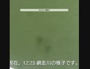 【鮭 シャケ の 大群】in 網走川