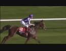 2009年 レーシングポストトロフィー (Racing Post Trophy)セントニコラスアビー（St Nicholas Abbey）