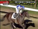 2010年 第83回ホイットニーハンデキャップ (Whitney Handicap) ブレイム（Blame）