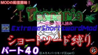 [Terraria+MOD]　ショートソード縛りEX パート４０　[ゆっくり実況]