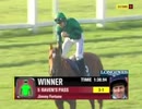 2008年 第53回クイーンエリザベスⅡ世ステークス (Queen Elizabeth Ⅱ Stakes)レイヴンズパス（Raven's Pass）