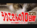 うりこさんの10日間 - 2019#25