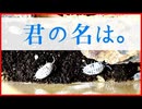 【お迎え報告】エキゾチックレプタイルエキスポに行ってきた!!【ダルメシアンワラジムシ】