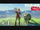 【実況】ウルリンといっしょ＃01｢旅はペット連れ世は情け容赦ねぇ｣【BotW】