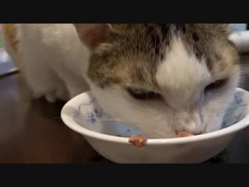 はら減ったし