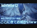 【MHWI：アイスボーン】新米ハンター極寒セリエナ生活#12～ストーリー編～【ゲーム実況】