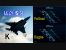 Ace Combat 7 Multiplayer384  バトルロイヤル  F-15C + PLSL