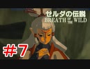 ゼルダ初心者とガチ勢のほのぼの伝説【ゼルダの伝説ブレスオブザワイルド実況：part7】