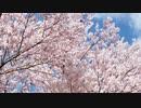Blossoms　歌ってみた【mokan】