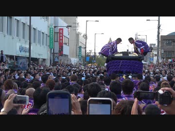 松山秋祭り2019 ~道後鉢合わせ喧嘩神輿~