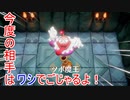 【ゼルダの伝説夢をみる島】やりたくてやっちゃった part5