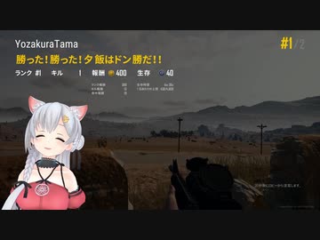 夜桜たま PUBGドン勝RTA 4:36