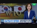 日本の輸出規制開始100日目にWTO提訴後初の日韓協議をジュネーブで行う