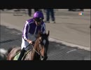 2016年 第33回BCターフ （Breeders' Cup Turf）ハイランドリール（Highland Reel）