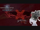 【MHW】全然バリアフリーじゃない【モンスターハンターワールドアイスボーン】