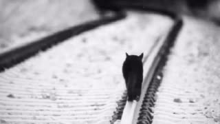 【作業用BGM】とにかく集中したい人向け【集中力強化】