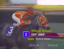 1998年 ドンハンデキャップ (Donn Handicap)スキップアウェイ(Skip Away)