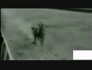 1920年 ローレンスリアライゼーションハンデキャップ（Lawrence Realization Handicap）マンノウォー（Man O' War)