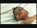 【サラのチャンネル】 実際に虐殺しているのはユダヤ人 Israel × Palestine＝Double Standard 実際に虐殺されたのはドイツ人とパレスチナ人 【拡散支援・保存支援】