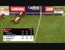 2019年　豪州　コーフィールドギニー　G1