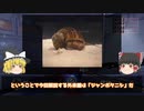 【ゆっくり外来種解説】その卵は閲覧注意！！ジャンボタニシ