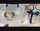 ご家庭のプリンを守るスマート錠「プリン・ロック」を作ってみた