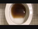 M&M'sとペプシをトイレに流してみた