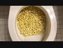M&M'sとポップコーンをトイレに流してみた