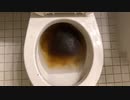 M&M'sとコーラをトイレに流してみた