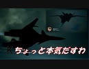Ace Combat 7 Multiplayer386  バトルロイヤル  ADFX-01
