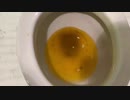M&M'sとファンタをトイレに流してみた