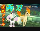 【ポケモンUSUM】催眠ドリル両刀　ポケットモンスターウルトラサンウルトラムーン