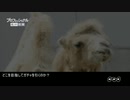 【DFFOO】プロしフェッショナルガチャ