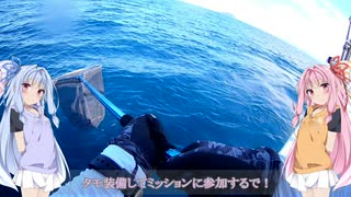 永遠の釣りビギナー琴葉姉妹　PART1 京都　舞鶴タイラバ