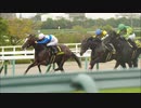 【WP8-2015】現役中に亡くなった馬と､その子孫縛り-改139回