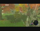 【実況】猶（なお）の伝説　ブレスオブザスーパープレイヤー【ゼルダの伝説】part32