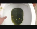 ピーナッツ味のM&M'sをトイレに流してみた２