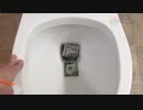 お金をトイレに流してみた４