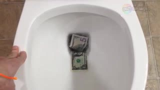 お金をトイレに流してみた４