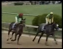 1997年 第123回ケンタッキーダービー(Kentucky Derby) シルバーチャーム(Silver Charm)