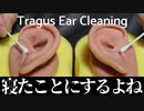 【ASMR】眠れぬ者は(多分)いない耳珠耳かき【音フェチ】