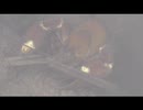 ウチダザリガニが棲む家だ　(富山県)