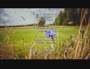 ポーリュシカ・ポーレ (Полюшко-поле)【訳詞付き】- Origa