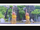 【Y-eun x Star】 Calc. 【踊ってみた】