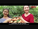China Recommendation-FeiCheng Peach