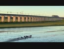 イノシシ避難動画にBGMをつけた
