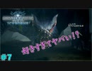 ナルガが好きすぎるおじいちゃん　「モンスターハンターワールド：アイスボーン～討伐編～」　＃7